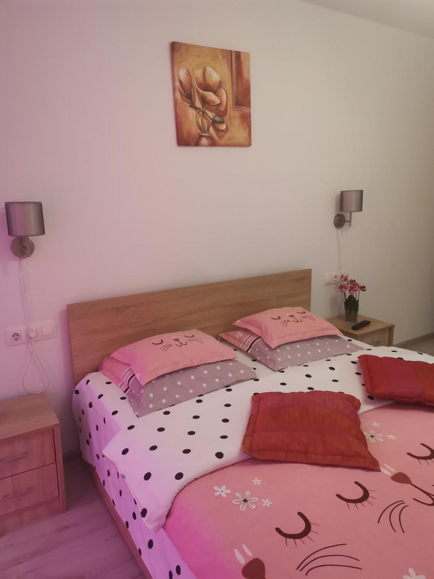 Apartmant Melinda M16 Lägenhet Braşov Exteriör bild