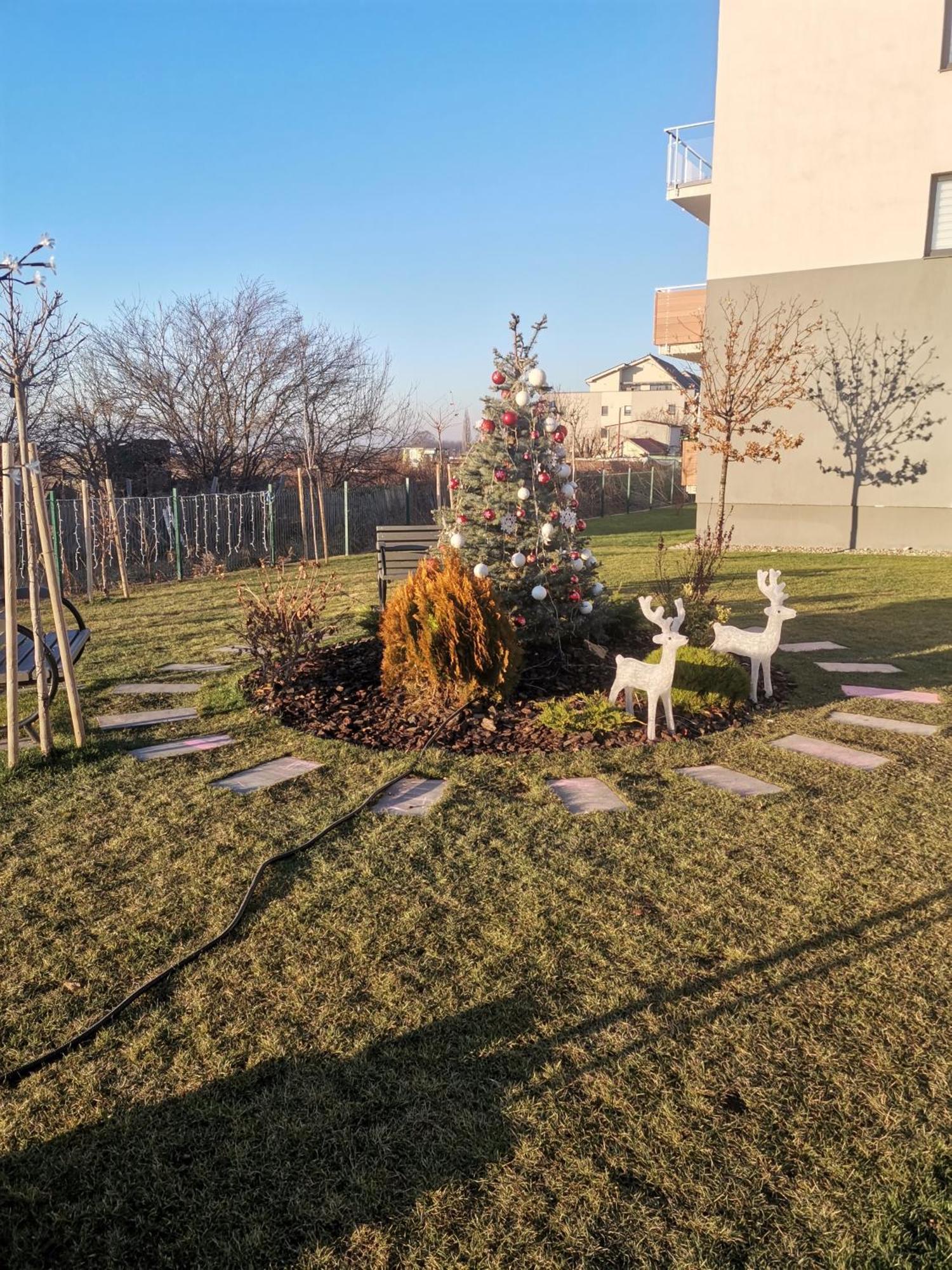 Apartmant Melinda M16 Lägenhet Braşov Exteriör bild